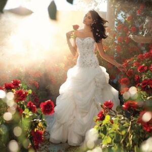 Alfred Angelo Disney Fairytale Belle 225 Ivory/Metallic Ballgown 14 NWT $1,800
